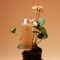 Fraijour Alchemic Ginsenoside Herbal Rx Toner Антивіковий тонер з женьшенем та пептидами