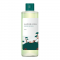 Round Lab Pine Calming Cica Toner Тонік з екстрактами сосни та центели для проблемної шкіри